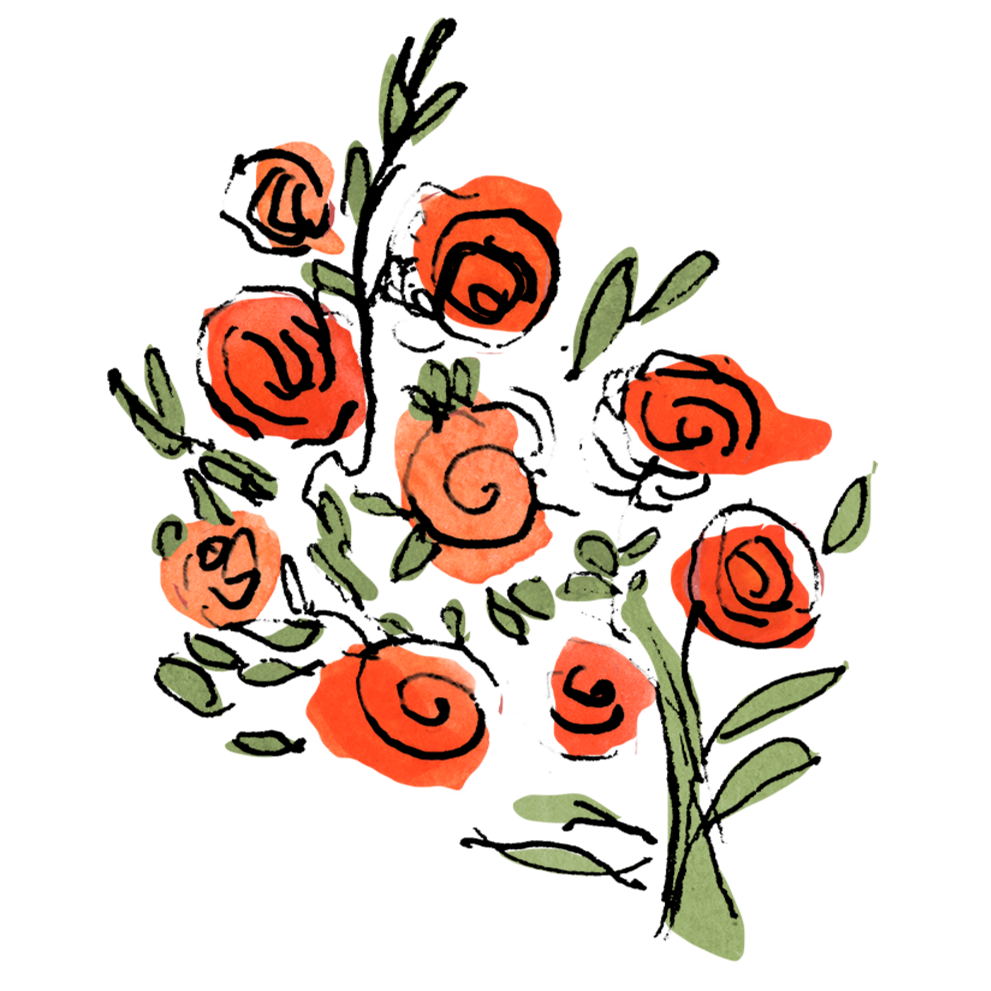 Kutaisi Roses