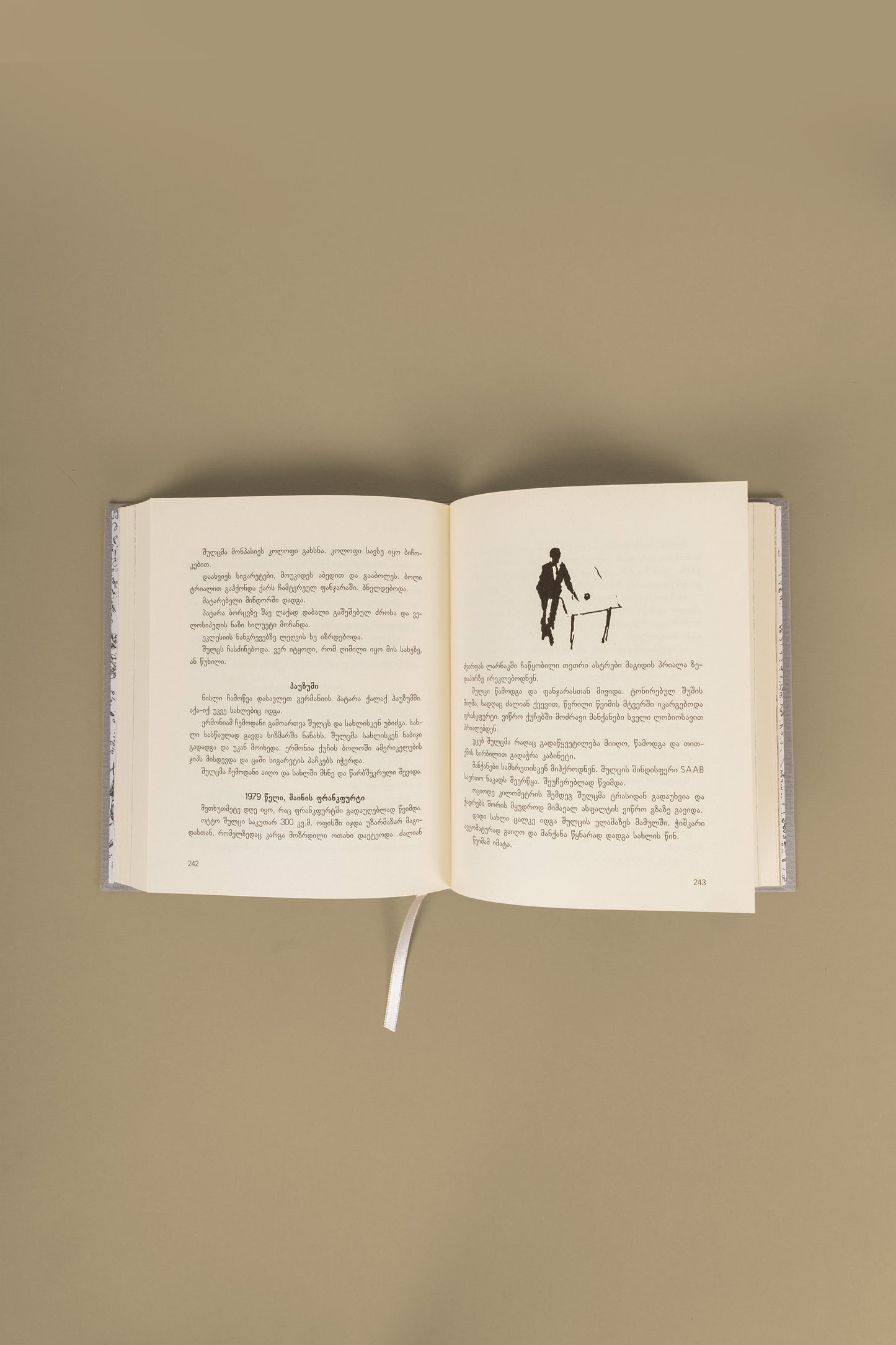 Book "My Small Town"