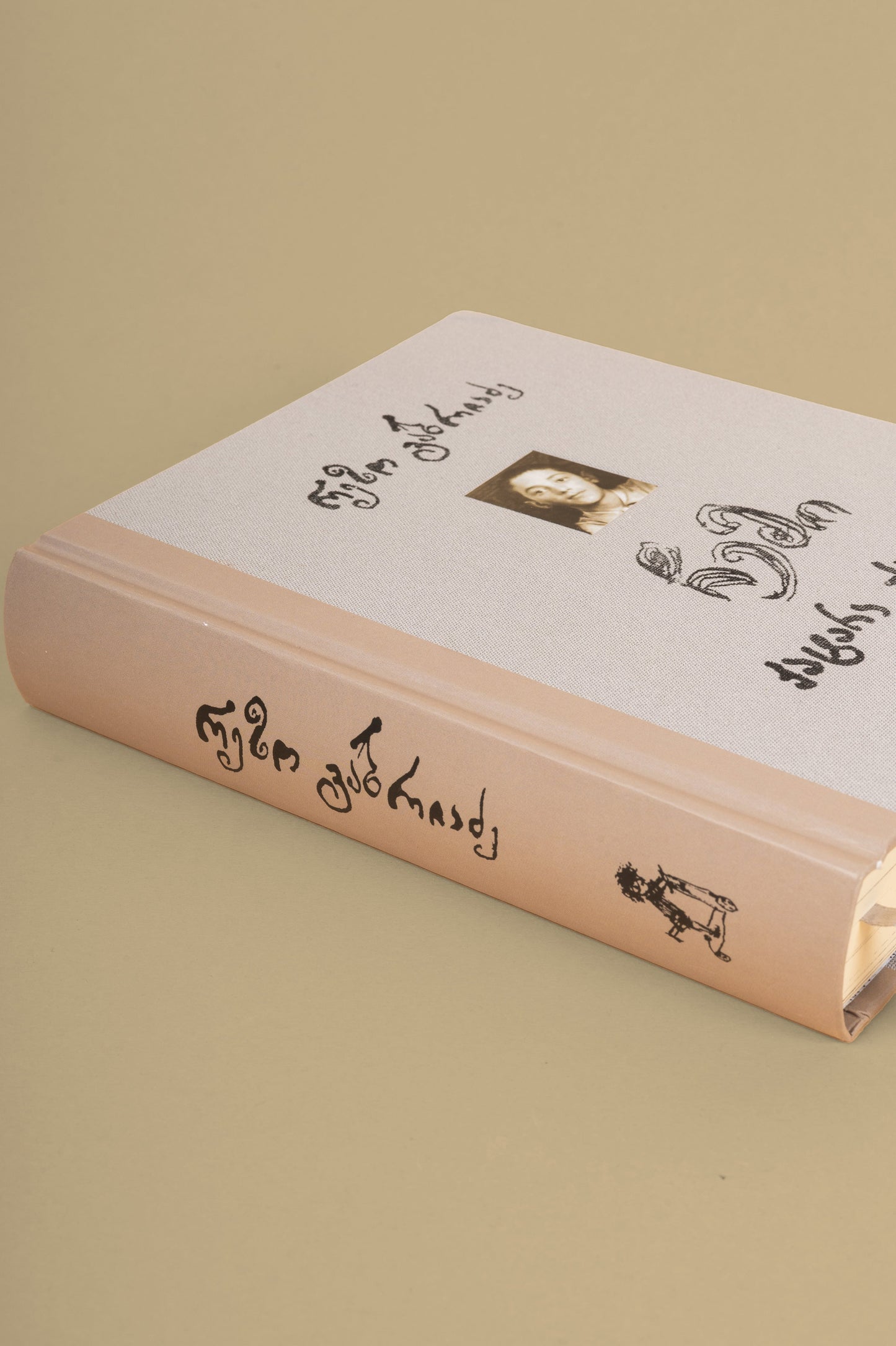 Book "My Small Town"